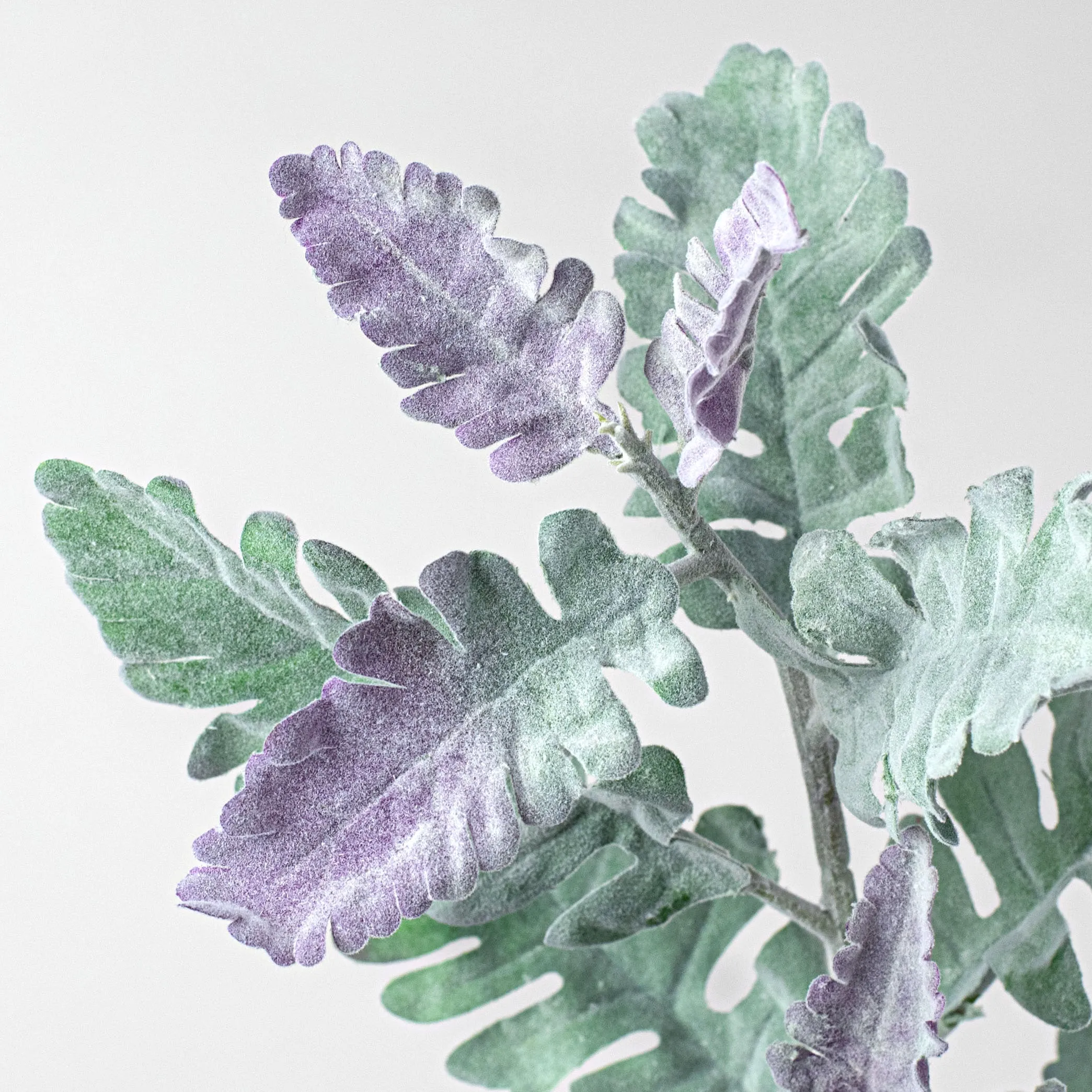 29" Flocked Dusty Miller Spray
