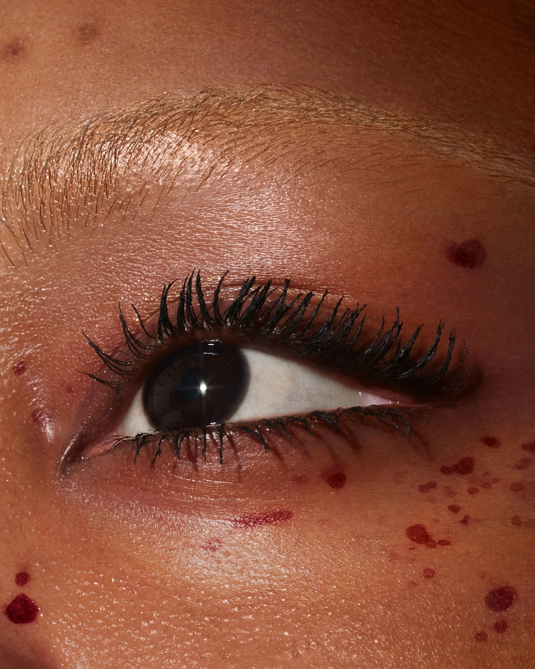 Lash Lasso