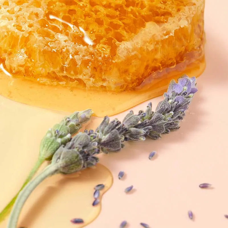 NUXE Reve De Miel Honey Lip Care Oil