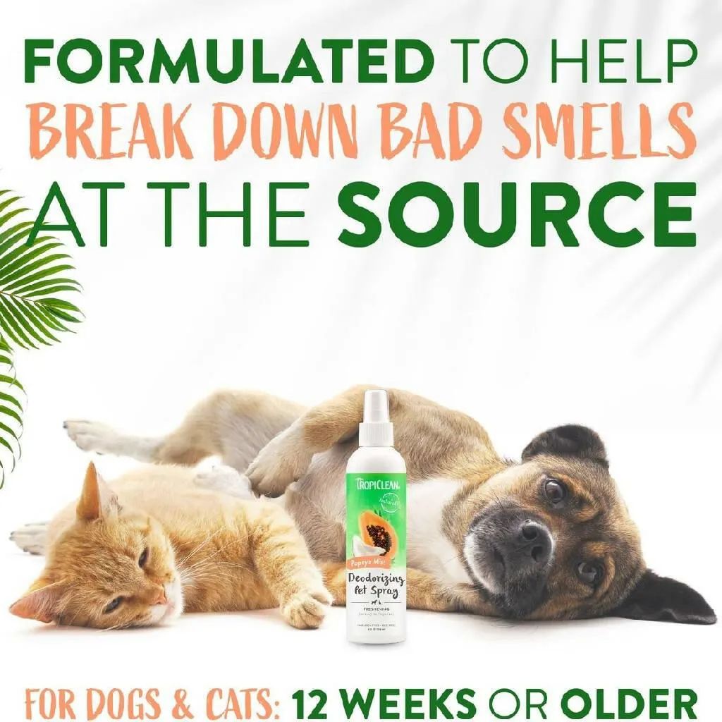 Tropiclean Papaya Mist Deodorizing Pet Spray (8 oz)